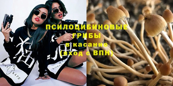 прущая мука Вязьма