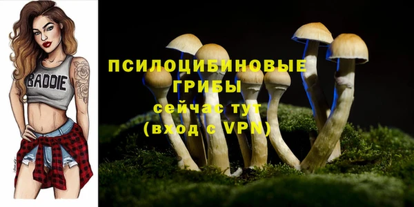 кокаин перу Вяземский